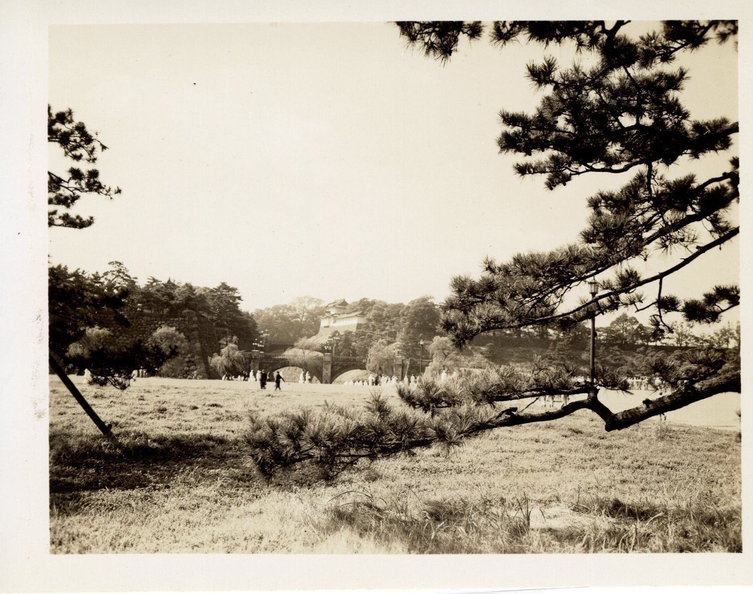 Primary Image of Palace Grounds