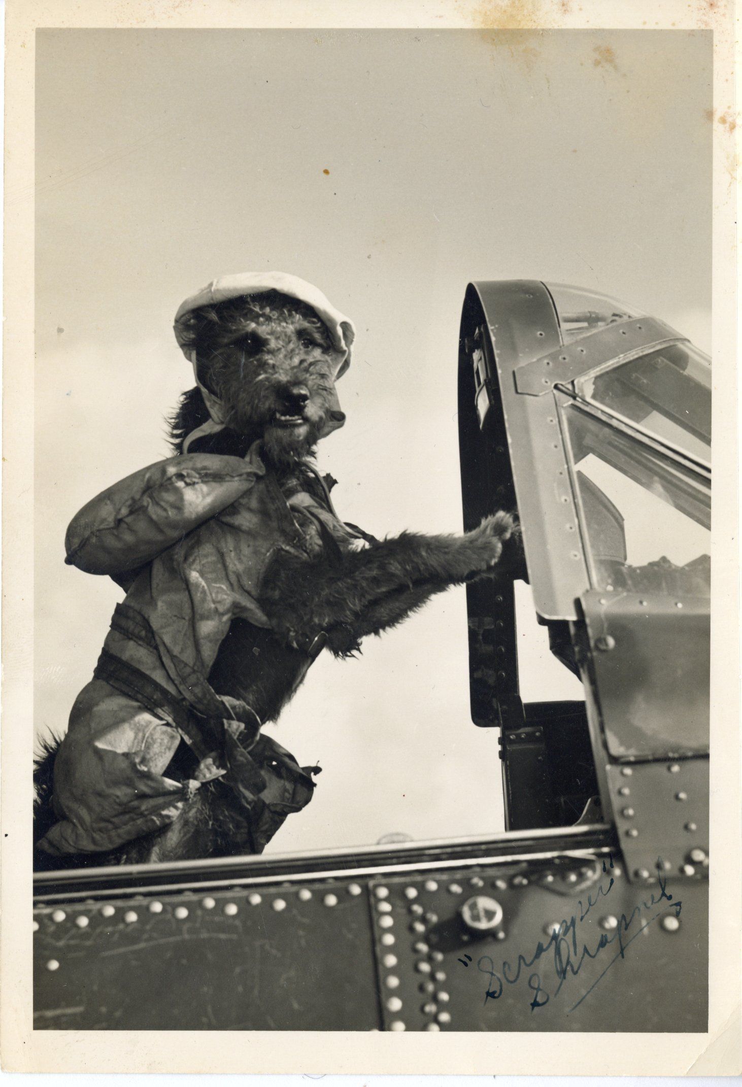 Primary Image of Scrapper Shrapnel