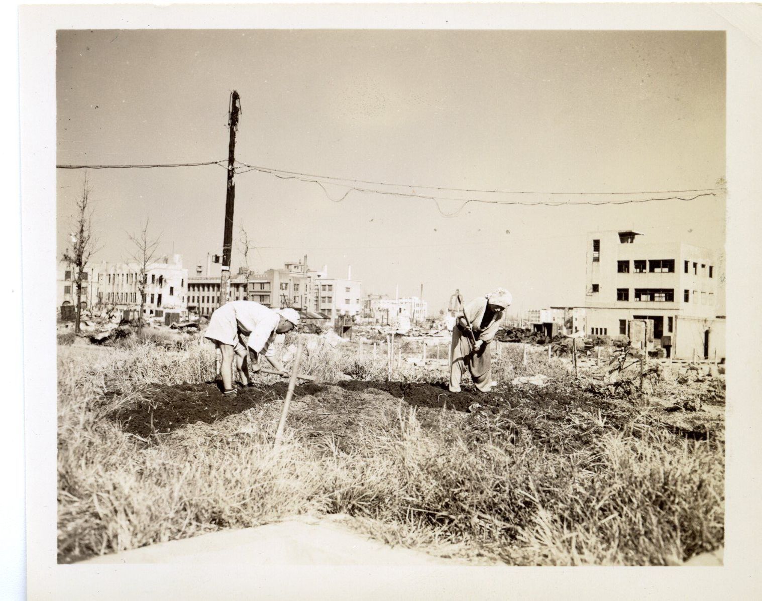 Primary Image of Business District Garden
