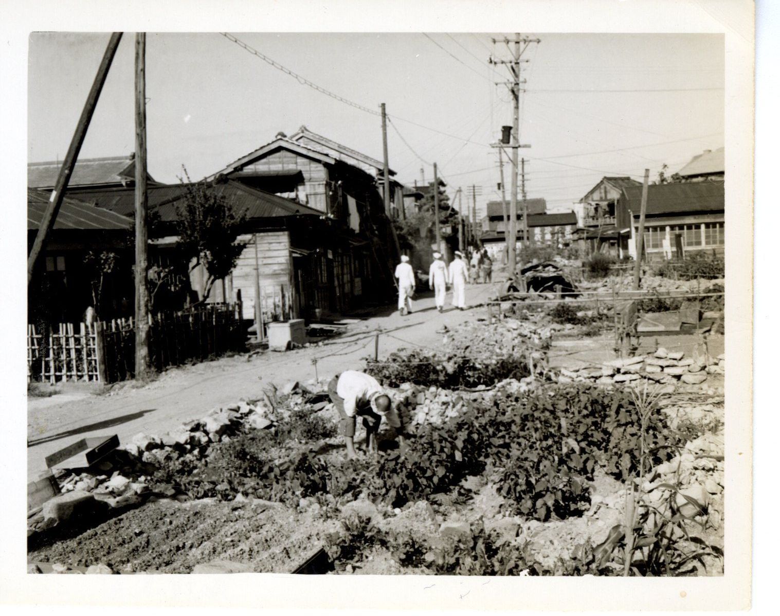 Primary Image of Gardening