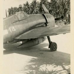 Primary Image of Beached Hellcat