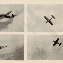 Alternative Image of Recognition Pictorial Manual