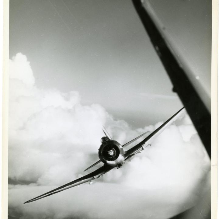 Primary Image of Dauntless in Flight