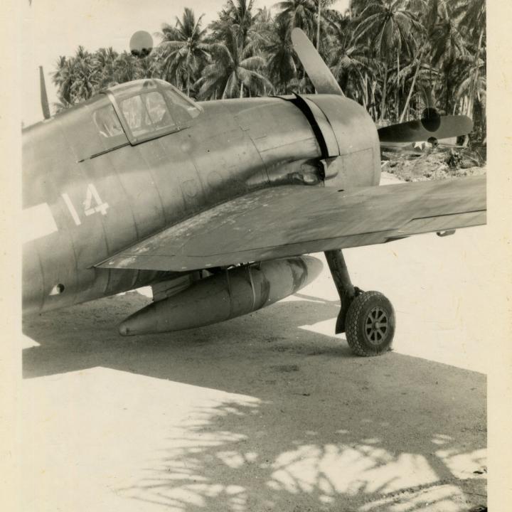 Primary Image of Beached Hellcat