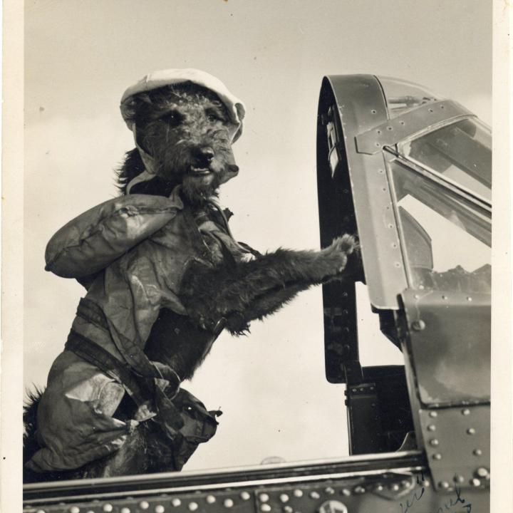 Primary Image of Scrapper Shrapnel