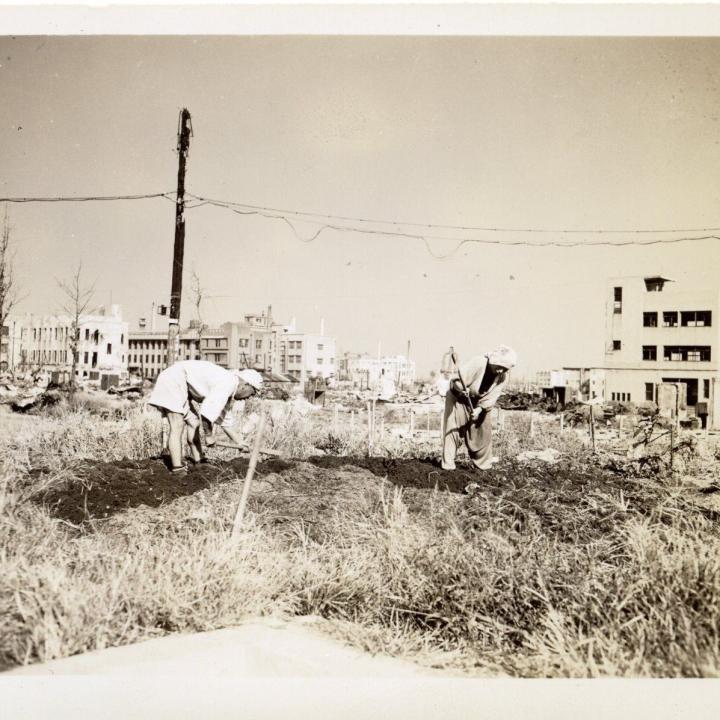 Primary Image of Business District Garden
