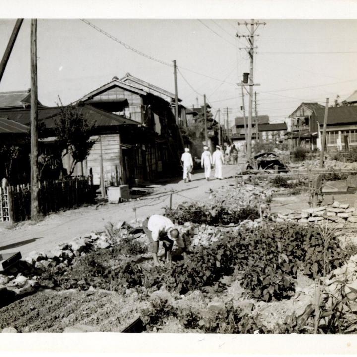 Primary Image of Gardening