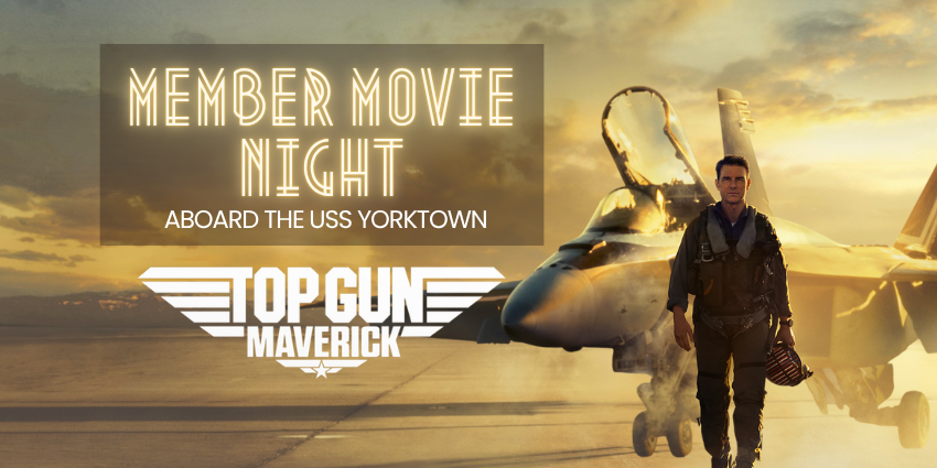 Top Gun Movie Image